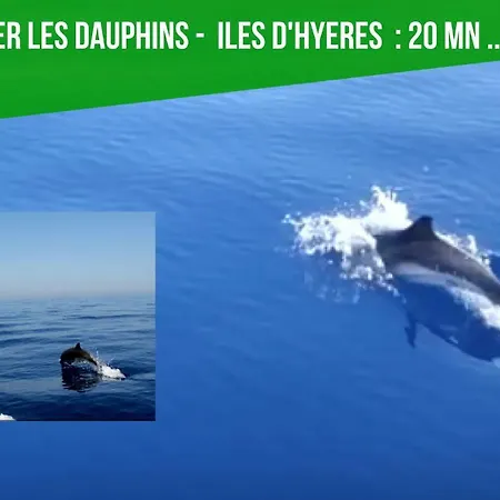 Lejlighed Le Petit Paradis Hyères